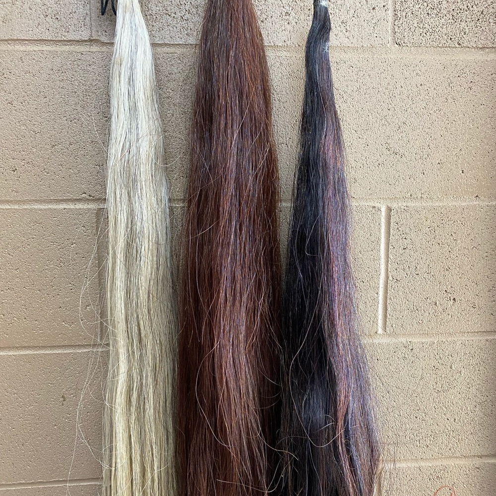 Bay fake tail